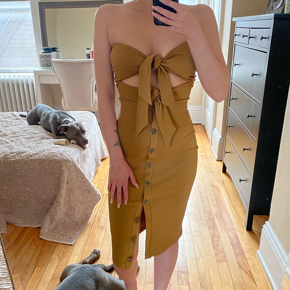 house of harlow 1960 • collete dress - Picture 2 of 6